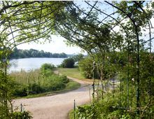 Ein landschaftlich gestalteter Weg führt unter einem mit Ranken und Blättern bewachsenen Rosenspalier hindurch in Richtung eines Sees. Im Hintergrund sind grüne Bäume, Schilf und eine Brücke sichtbar.