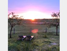 Zwei Liegestühle stehen auf einer Wiese, flankiert von zwei blühenden Bäumen. Im Hintergrund erstreckt sich eine ländliche Landschaft mit einem See, über dem die Sonne bei Sonnenuntergang am Horizont steht.