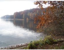Ufer eines Sees mit klarem Wasser, umgeben von herbstlich gefärbten Bäumen. Im Vordergrund befinden sich Zweige mit orangebraunen Blättern und Gras sowie ein bemooster Boden.