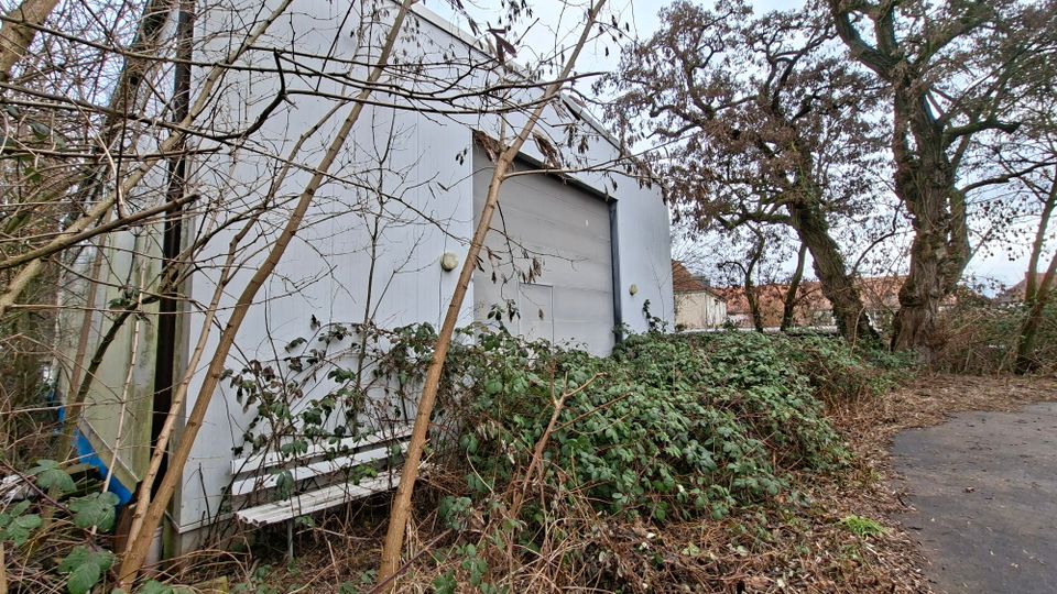 Grau verkleidetes Industrie- oder Lagergebäude mit großer Rolltoröffnung, teilweise von dichtem Bewuchs und Sträuchern überwuchert. Daneben verläuft ein asphaltierter Weg entlang hoher Bäume und verwilderter Vegetation.