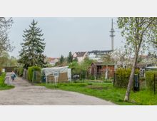 Eine ländliche Szene mit einer Frau auf einem Fahrrad auf einem unbefestigten Weg, umgeben von Kleingärten mit kleinen Hütten und Zäunen. Im Hintergrund sind mehrstöckige Wohngebäude und ein hoher Sendemast zu sehen, eingerahmt von Bäumen und blühenden Sträuchern.