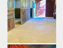 Innenansicht eines Pferdestalls mit Boxen aus Holz und Metallgittern auf der linken Seite. Im Hintergrund befindet sich ein großes, bogenförmiges Tor aus Holz, durch das Tageslicht einfällt.