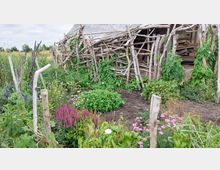 Ein rustikaler Garten mit einem provisorischen Zaun aus unregelmäßig angeordneten Holzästen und Kletterpflanzen. Im Vordergrund blühende Beete mit violetten, pinken und weißen Blumen, umgeben von lockerem Grün.