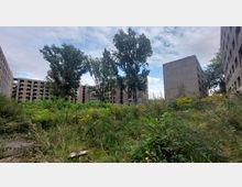 Überwucherte Ruinen eines verlassenen Gebäudekomplexes mit mehreren langgezogenen, fensterlosen Betonbauten, umgeben von hohem Gras, Wildpflanzen und vereinzelten Bäumen, unter einem bewölkten Himmel.