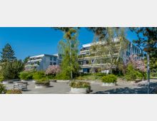 Mehrstöckige Wohngebäude in moderner Architektur, umgeben von Bäumen, Sträuchern und blühenden Pflanzen. Im Vordergrund befindet sich ein gepflasterter Platz mit Sitzgelegenheiten und runden Pflanzgefäßen.