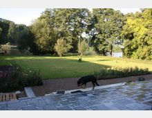 Eine Gartenlandschaft mit gepflegtem Rasen, Blumenbeeten und vereinzelten Bäumen im Vordergrund. Im Hintergrund sind größere Bäume und ein See zu sehen; ein schwarzer Hund läuft über eine gepflasterte Terrasse.