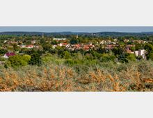Blick auf ein Dorf mit roten Ziegeldächern und einzelnen weißen Gebäuden, eingebettet in eine grüne, bewaldete Landschaft mit leichten Hügeln im Hintergrund; im Vordergrund sind Büsche mit orangefarbenen Beeren zu sehen.