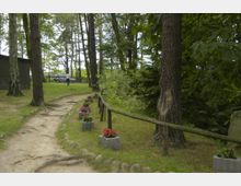 Ein sandiger Waldweg mit sichtbaren Baumwurzelstrukturen verläuft entlang einer Holzplanke, die den Weg auf einer Seite begrenzt. Auf der rechten Seite des Weges stehen Blumenkübel mit roten und bunten Blumen, umgeben von hohen Bäumen und grüner Vegetation.