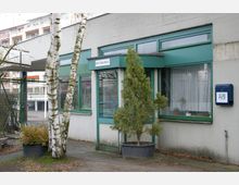 Eingangsbereich eines Gebäudes mit grünen Fensterrahmen und Vordach, flankiert von zwei Birken und einem in einem Pflanzkübel stehenden Nadelbaum. Rechts an der Wand befindet sich ein blauer Briefkasten, während die Fenster im Inneren kleine Pflanzen zeigen.