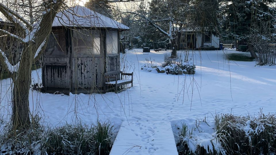 Verschneite Holzbrücke mit Fußspuren über einen schmalen Graben in einem winterlichen Garten oder Park. Im Hintergrund stehen ein kleines hölzernes Gartenhaus mit pyramidenförmigem Dach und weitere Gebäude zwischen kahlen Laubbäumen und immergrünen Nadelbäumen.