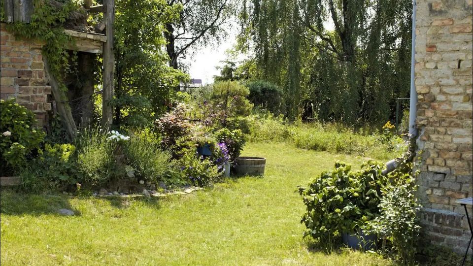 Ein grüner Garten mit Rasenfläche, umgeben von dichten Bäumen und blühenden Sträuchern. Im Vordergrund sind eine Ziegelwand und eine hölzerne Konstruktion zu sehen, die von Pflanzen bewachsen sind.