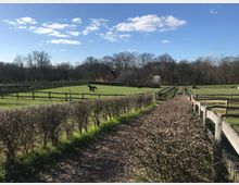 Landschaft mit weitläufigen Weiden, auf denen vereinzelt Pferde grasen, umgeben von niedrigen Holzzäunen und kahlen Hecken. Im Hintergrund steht ein rotes Haus am Rande eines Waldes unter einem überwiegend klaren Himmel.