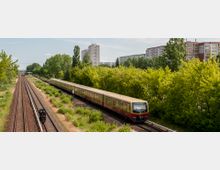 S-Bahn-Zug auf einem Gleisabschnitt in einer grünen Umgebung, flankiert von Bäumen und parallel verlaufenden Bahngleisen, mit Wohnhochhäusern und weiteren Gebäuden im Hintergrund.