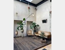 Heller Innenraum mit minimalistischem Design, ausgestattet mit Holzboden, einer Sitzgruppe aus hellbraunen Polstermöbeln, mehreren grünen Zimmerpflanzen in Töpfen und Makramee-Aufhängungen. Die Wände sind aus glattem, hellgrauem Putz, und ein Oberlicht lässt Tageslicht herein.