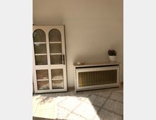 Ein heller Innenraum mit einer gläsernen Tür auf der linken Seite, einem weißen Heizkörperkasten mit goldfarbenen Gitterelementen rechts daneben und einer Blumenvase mit roten Blumen darauf. Der Boden ist aus beigen Fliesen, und im Vordergrund liegt ein heller Teppich.