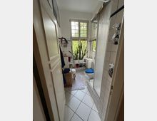 Schmales Badezimmer mit weiß gefliesten Wänden und Boden, einer Duschkabine rechts und einem Fenster mit Sprossen im Hintergrund, vor dem sich eine hohe Zimmerpflanze befindet. Links steht ein Wäschekorb, und vorne ist eine Toilette mit blauem Deckel.