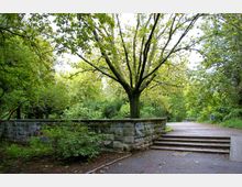 Ein grüner Park mit einem großen Baum im Zentrum, umgeben von dichter Vegetation. Im Vordergrund befindet sich eine niedrige Steinmauer und eine Treppe, die zu einem gepflasterten Weg führt.