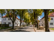 Wohnstraße mit weißen Mehrfamilienhäusern und roten Ziegeldächern, gesäumt von hohen Bäumen, die Schatten auf die Straße werfen. Parkende Autos und Gehwege verlaufen entlang der Häuser.