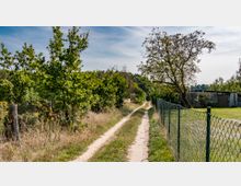 Ein schmaler, unbefestigter Weg führt zwischen einem Zaun mit Drahtgeflecht auf der rechten Seite und einer Reihe von Bäumen und Büschen auf der linken Seite hindurch. Im Hintergrund sind eine Wiese und ein kleiner Schuppen zu sehen, bei leicht bewölktem Himmel.