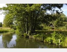 Eine ruhige, grüne Flusslandschaft mit einem kleinen Fluss im Vordergrund und üppiger Vegetation am Ufer. Im Hintergrund steht ein dunkelbraunes Häuschen mit Spitzdach, umgeben von Bäumen und Sträuchern.