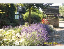 Ein idyllischer Hof mit blühendem Lavendel im Vordergrund, einer gepflasterten Fläche und einem Backsteinbrunnen mit Holzüberdachung. Im Hintergrund ist ein mit Efeu bewachsenes Backsteinhaus mit weißen Fensterläden zu sehen.