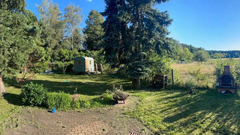 Weitläufiger Garten mit Rasenfläche, großen Nadel- und Laubbäumen sowie einem gepflasterten Bereich im Vordergrund. Im Hintergrund stehen ein kleiner Bauwagen und rechts ein gemauerter Außenkamin/Grill am Rand einer offenen Wiese, neben einem Gebäudeteil.