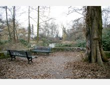 Ein kleiner Platz in einem Park mit zwei mit Graffiti versehenen Holzbänken, umgeben von Laub, großen Bäumen und dichter Vegetation. Im Hintergrund ist ein Gewässer zwischen kahlen Bäumen sichtbar.