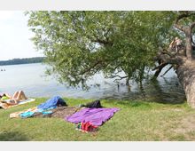 Menschen entspannen auf Wiesenflächen direkt am Ufer eines Sees, mit Handtüchern und Kleidung auf dem Gras. Ein großer Baum ragt schräg ins Wasser, und zwei Personen stehen auf einem der Äste, während die Umgebung von Wasser und bewaldetem Hintergrund geprägt ist.