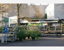 Außenansicht eines Marktplatzes mit einem Blumen- und Pflanzenverkaufsstand; im Vordergrund stehen Weihnachtsbäume in Töpfen, dahinter Regale mit Blumen und Dekorationsartikeln. Im Hintergrund sind Wohngebäude sowie ein Schild mit Straßennamen zu sehen.