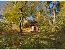 Hügeliger Waldgarten mit herbstlichem Laub, einem kleinen hölzernen Gartenhaus und vereinzelten Bäumen, umgeben von dichter Vegetation. Im Hintergrund stehen höhere Gebäude und eine Holzplattform zwischen den Bäumen.