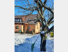Hinterhof mit einem orangefarbenen Einfamilienhaus und schneebedecktem Boden, im Vordergrund ein kahler Baum mit angelehntem Gartengerät und einem kleinen Vogelhäuschen. Der blaue Himmel ist klar und wolkenlos.
