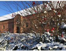 Backsteinbau mit schneebedecktem Dach im Hintergrund, im Vordergrund ein verschneiter Strauch mit roten Hagebutten. Klarer Himmel und Sonnenschein.