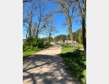 Ein unbefestigter Weg führt durch eine von Bäumen gesäumte ländliche Landschaft. Im Hintergrund sind Holzbauten und Wiesen zu sehen, umgeben von locker stehenden Bäumen unter einem klaren blauen Himmel.