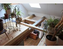 Dachgeschosswohnung mit sichtbaren Holzbalken und Holzfußboden. Im Vordergrund stehen mehrere Zimmerpflanzen auf Metallständern und Holzflächen, im Hintergrund ist ein Bereich mit Möbeln sichtbar.