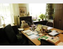 Büro mit einem Schreibtisch, der mit Papieren, Schreibutensilien, einem Faxgerät und Arbeitsmaterialien belegt ist. Im Hintergrund befinden sich eine Fensterfront mit Topfpflanzen auf Fensterbänken, ein Aktenschrank und eine kleine Kommode.