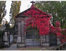 Historisches Eingangstor aus Stein mit einem schmiedeeisernen Gitter, das teilweise von leuchtend rotem Efeu bewachsen ist. Im Hintergrund sind Bäume und ein gepflasterter Weg sichtbar.
