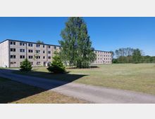 Mehrstöckiges, graues Wohngebäude aus Beton mit zahlreichen Fenstern, umgeben von einer Rasenfläche, Gehwegen und einigen kleinen Bäumen; im Vordergrund steht ein größerer Baum, im Hintergrund sind Stromleitungen und eine Baumreihe zu sehen.