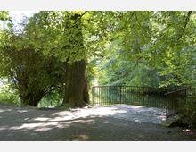 Schattiger Parkbereich mit einem großen Baum im Vordergrund und einer gepflasterten Plattform mit Metallgeländer, die auf einen ruhigen Teich blickt, umgeben von dichtem Laubwerk.