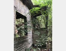 Verfallenes Holzgebäude in einem bewaldeten Gebiet, mit offenen Fensterrahmen und überwuchertem Laub um die Struktur. Das Dach ist teilweise eingestürzt, und junge Bäume wachsen dicht an den Wänden.
