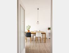 Ein minimalistischer Essbereich mit einem Holztisch, an dem drei Stühle stehen (zwei weiße und ein schwarzer); eine Zimmerpflanze in einem Topf steht auf dem Tisch. Die Umgebung weist helle Wände, einen Holzboden und eine einfache Hängeleuchte mit Drahtdesign auf.