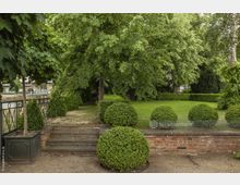 Gepflegter Garten mit Rasenfläche, gesäumt von kugelförmig geschnittenen Buchsbaumsträuchern und großen Laubbäumen. Eine kleine Treppe führt von einem Weg hinauf zu dem erhöhten Garten, der von einer niedrigen Backsteinmauer begrenzt wird.