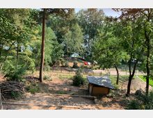 Waldartige Landschaft mit vereinzelten hohen Bäumen, einem kleinen Holzschuppen im Vordergrund und einem Weg, der entlang eines Sees im Hintergrund verläuft. Auf der Wiese am Seeufer liegen bunte Boote oder Kajaks.