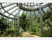 Gewächshaus mit einer kuppelförmigen Glas- und Stahlkonstruktion, die viel Tageslicht hereinlässt. Im Inneren befinden sich üppige Pflanzen, darunter Sträucher und Kletterpflanzen mit orangefarbenen Blüten, sowie angelegte Beete mit Natursteinen.