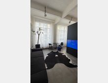 Heller, loftartiger Raum mit weißen Deckenbalken, großen Fenstern mit transparenten Vorhängen und Betonboden. Im Raum stehen ein schwarzes Sofa, ein Kuhfell-Teppich, ein kleiner Tisch mit Stühlen, eine Topfpflanze sowie eine schwarze Trennwand mit integriertem Bildschirm.