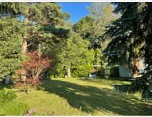 Großer, sonniger Garten mit gepflegter Rasenfläche, umgeben von hohen Nadel- und Laubbäumen sowie dichtem Strauchbewuchs. Rechts steht ein kleines Gartenhaus, im Hintergrund sind Holzstapel und Gartenutensilien zu sehen.
