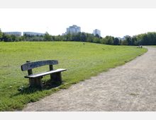 Eine Parklandschaft mit einer großen, offenen Wiese, einem Schotterweg und einer Holzbank mit Graffiti im Vordergrund. Im Hintergrund sind Bäume sowie moderne Wohngebäude sichtbar.