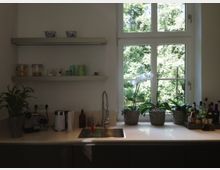 Moderne Küche mit einer weißen Arbeitsplatte, einem eingelassenen Spülbecken und einer Armatur. Links befinden sich Wandregale mit Geschirr und Behältern, während auf der Fensterbank mehrere Pflanzen in Körben vor einem großen Fenster mit Blick auf grüne Bäume stehen.