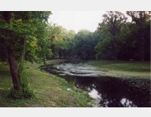 Parklandschaft mit einem ruhigen Fluss, umgeben von üppigem Grün und hohen Bäumen. Ein schmaler Pfad verläuft entlang des Wassers, und eine kleine Brücke ist im Hintergrund sichtbar.