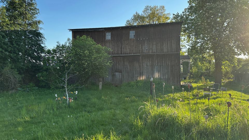 Blick auf eine große, verwitterte Scheune aus Holz mit wenigen Fenstern, umgeben von einer Wiese mit hohem Gras und einzelnen Gartenobjekten. Rechts stehen unter einem großen Baum Sitzmöbel im Freien, im Hintergrund weitere Bäume unter klarem Himmel.
