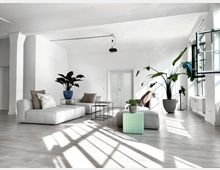 Heller, moderner Wohnbereich in einem offenen Raum mit weißen Wänden und großen Fenstern. Graue Sofas mit Kissen, mehrere Zimmerpflanzen und kleine Beistelltische sind dekorativ angeordnet; Sonnenlicht fällt durch die Fenster und wirft Schatten auf den hellen Holzboden.